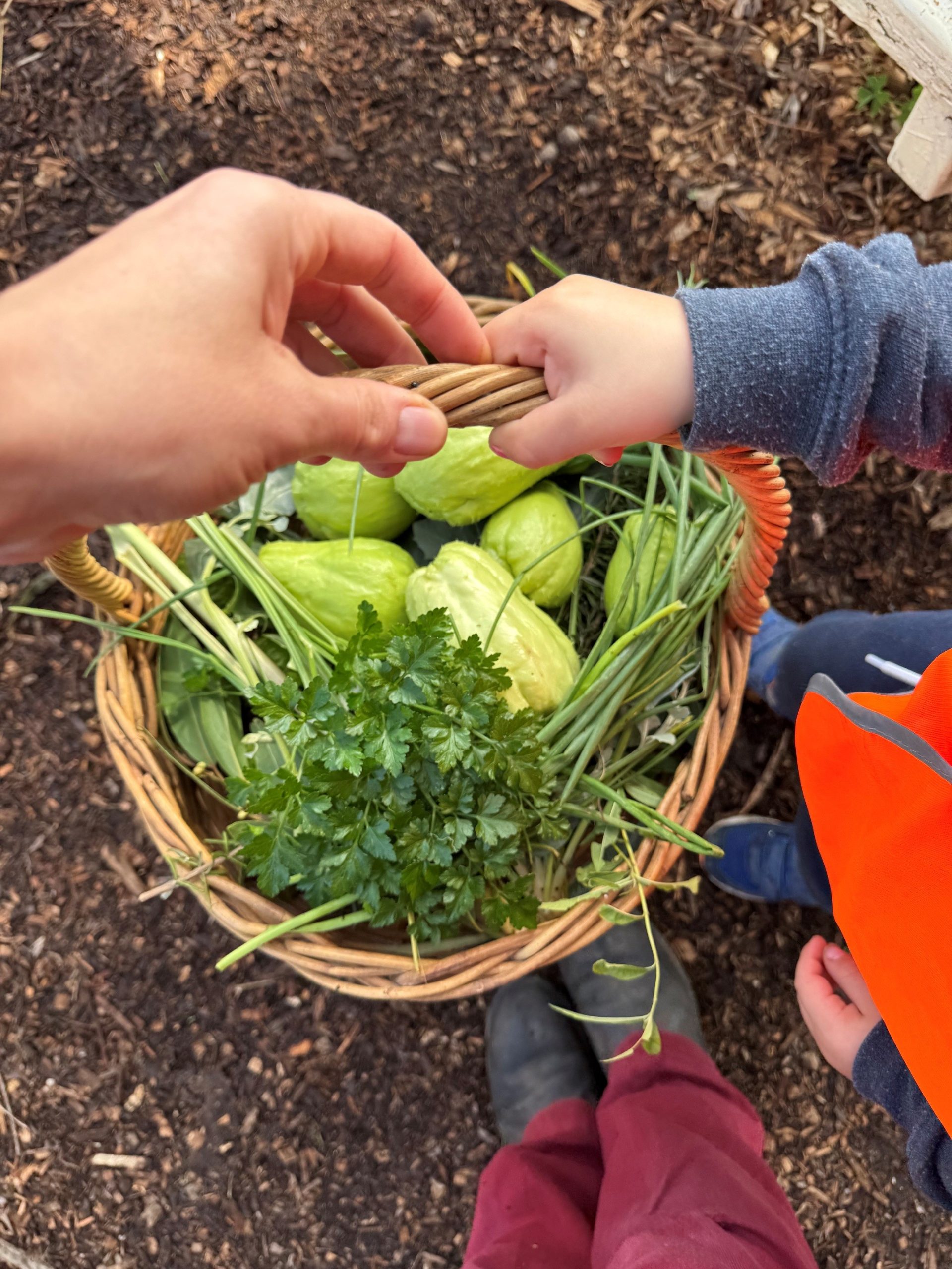 Join us to put sustainability into action this month!